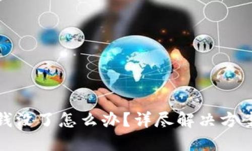 TP钱包里的钱没了怎么办？详尽解决方案与预防措施