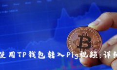 如何使用TP钱包转入Pig视频