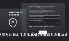 TP钱包私钥忘了怎么找回？