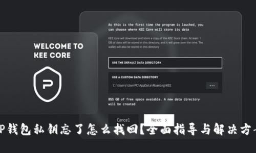TP钱包私钥忘了怎么找回？全面指导与解决方案