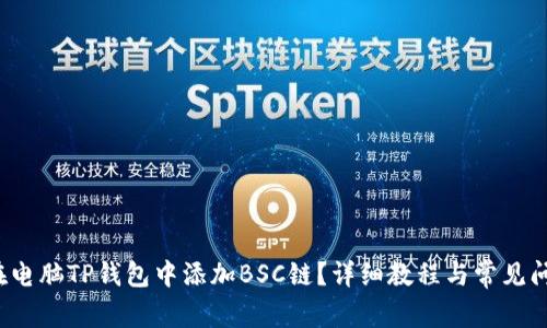  如何在电脑TP钱包中添加BSC链？详细教程与常见问题解答