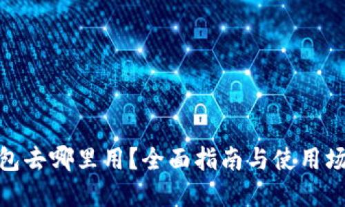 数字钱包去哪里用？全面指南与使用场景探讨