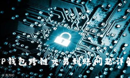 TP钱包跨链交易到账问题详解