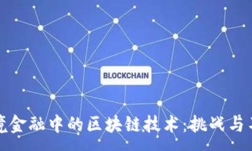 : 

跨境金融中的区块链技术：挑战与不足