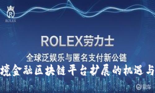 : 跨境金融区块链平台扩展的机遇与挑战