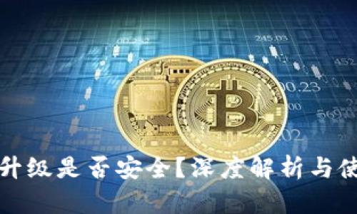 TP钱包升级是否安全？深度解析与使用指南