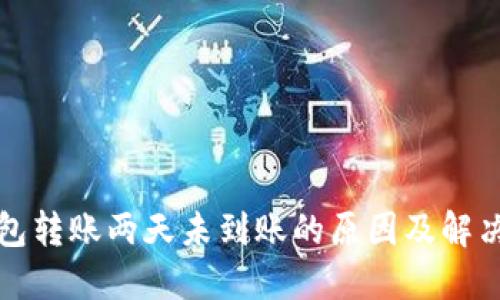 TP钱包转账两天未到账的原因及解决方案