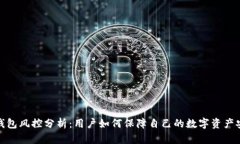 TP钱包风控分析：用户如何保障自己的数字资产安