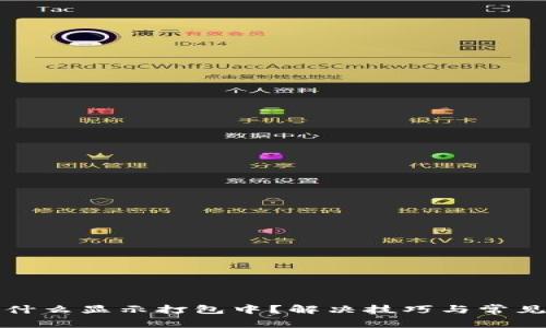 TP提币为什么显示打包中？解决技巧与常见问题详解